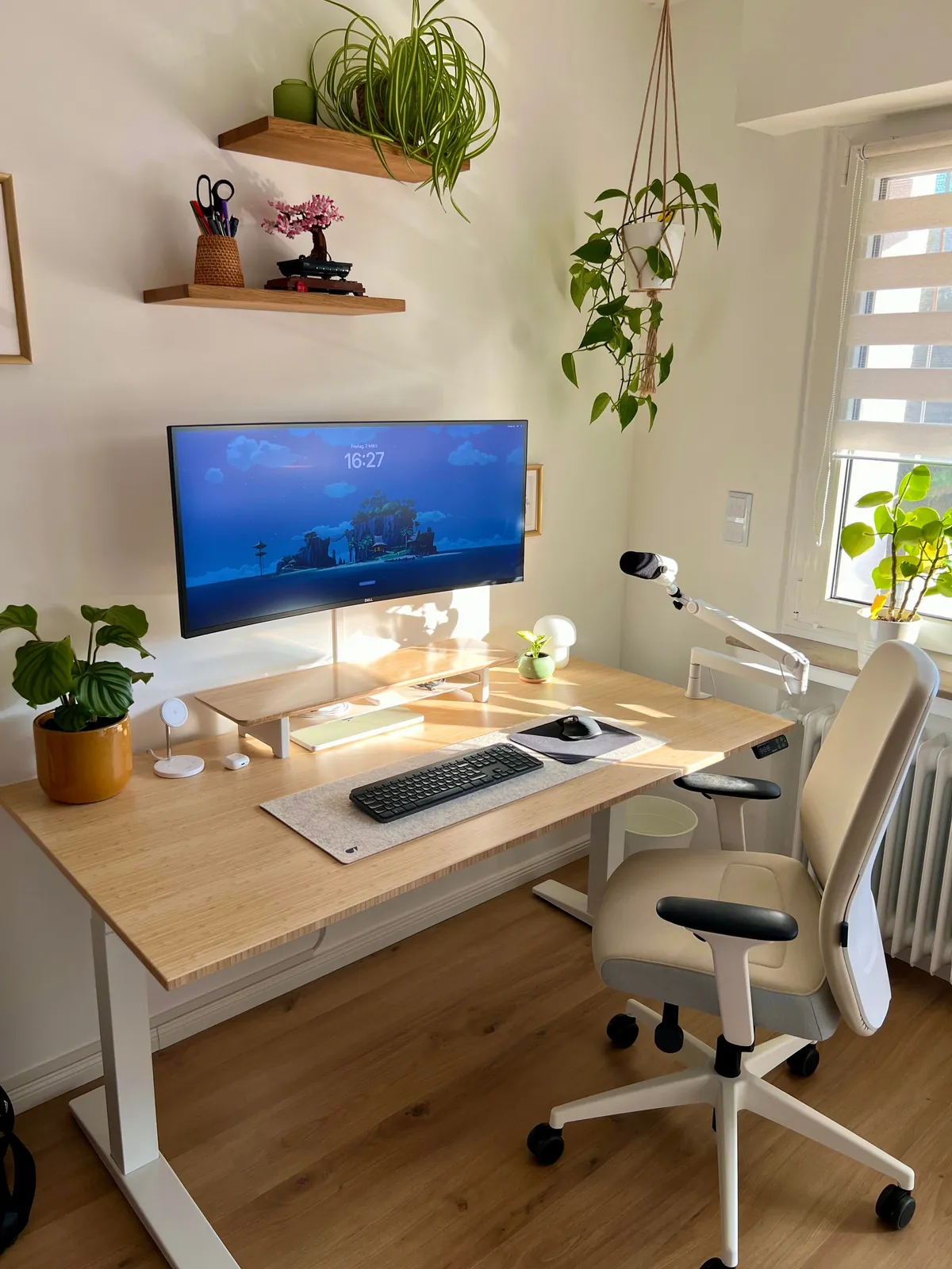 My cozy little office