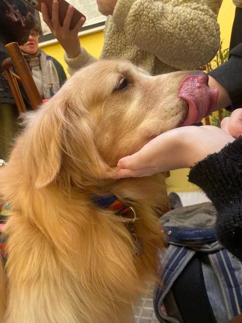 Our teacher surprised us all bringing her dog to class. Made my day!