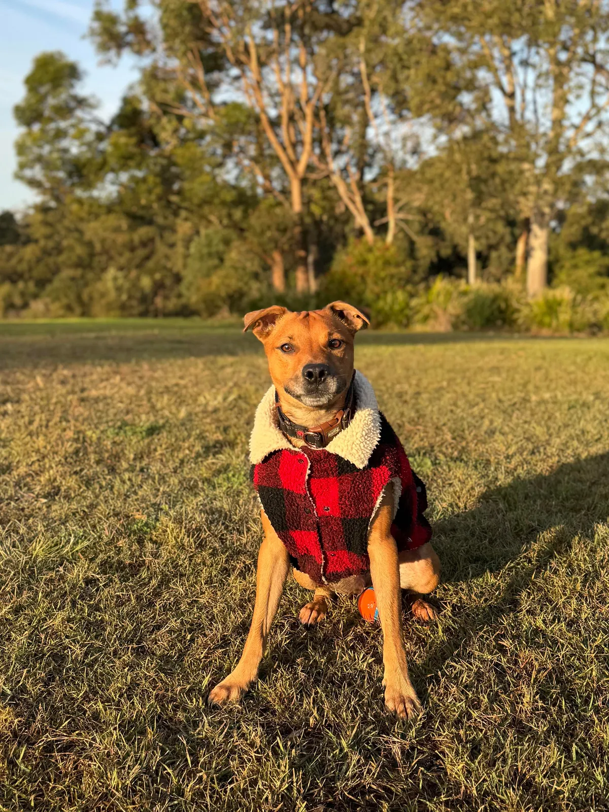 Hector through the years. Which is your favourite photo