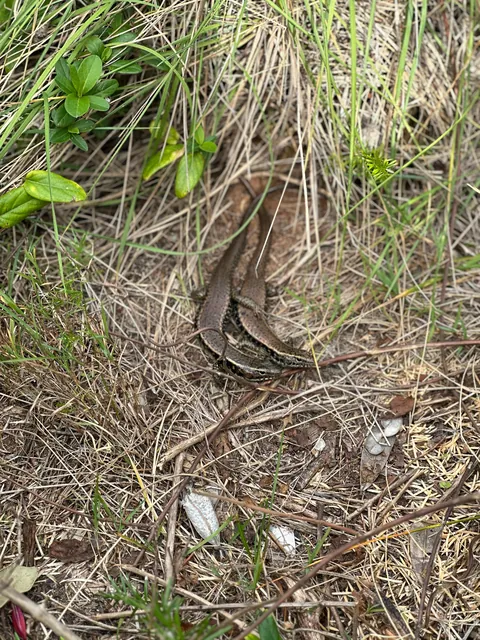 🔥old mates hookup spot 🔥 