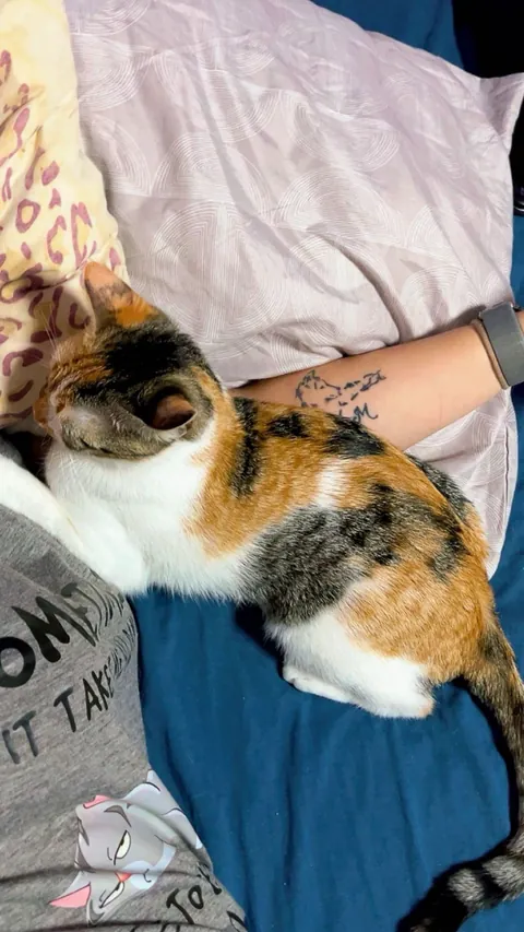 I lost my soul cat at just one year old, and I don’t know how to live with this pain