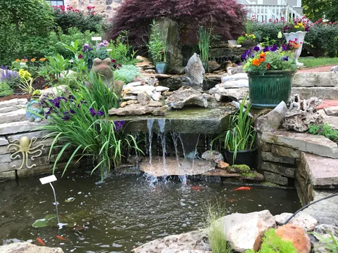 I’m a lucky girl. My husband and I work on this every evening. I only wish everyone could discover the healing power of gardening 🥰