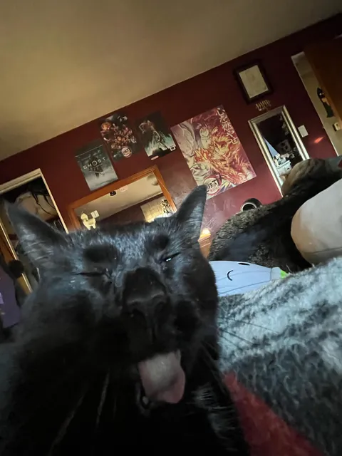 He sneezed during his picture