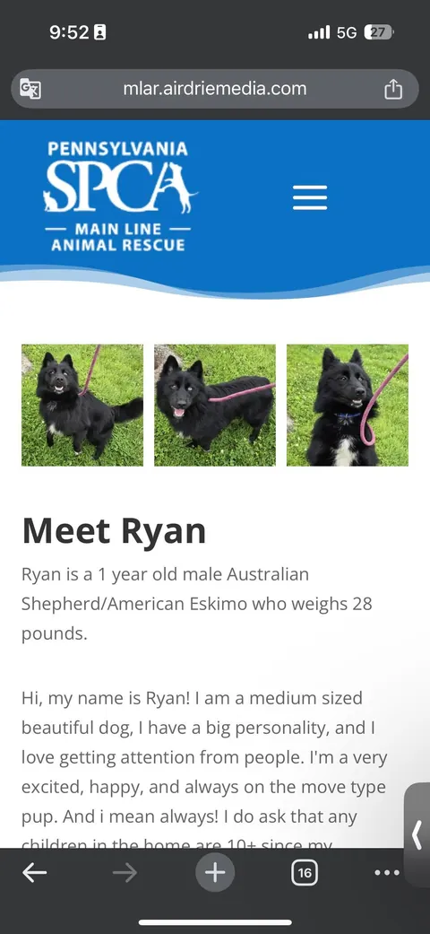 How it started -> How it’s going! Blessed to have found my best friend and adventure partner in a crowded rescue.