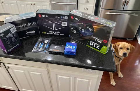 The look of betrayal when he realizes we’re not going to the park today