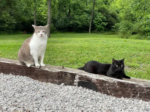 7 years with my Middle Eastern girl