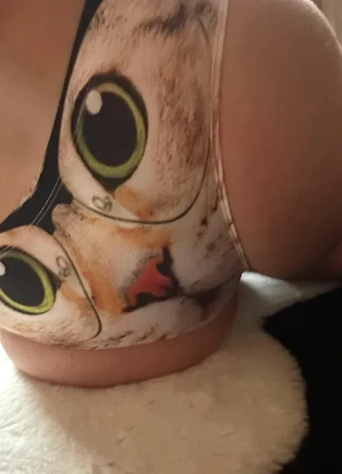 Outtake der Höschen-Reihe 😂 was möchte uns der Designer damit sagen? Miau? 🐱 …und wie es darunter aussieht… (f)