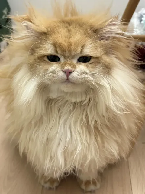 When he just woke up