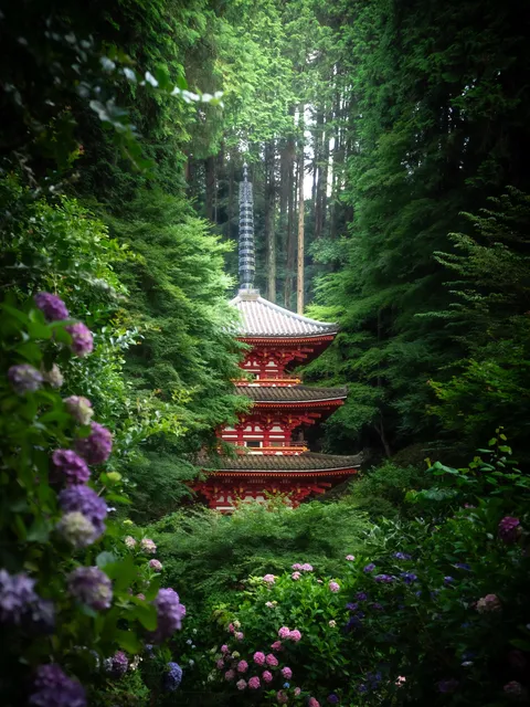 ITAP of a temple inside forest with hydrangeas 