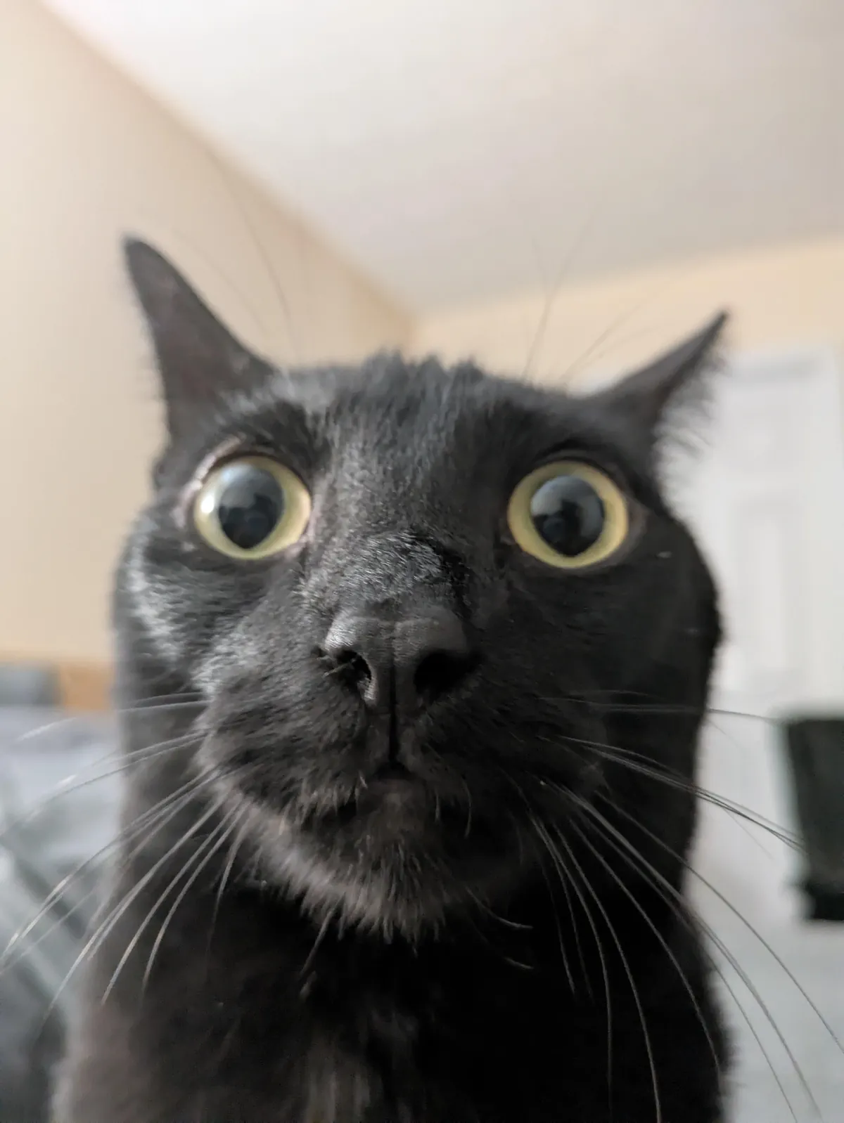 He always watching me