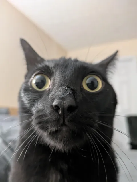 He always watching me