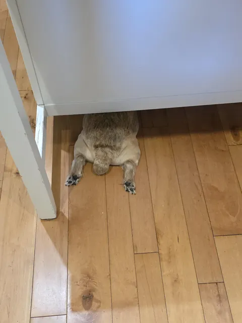 Interesting hiding spot