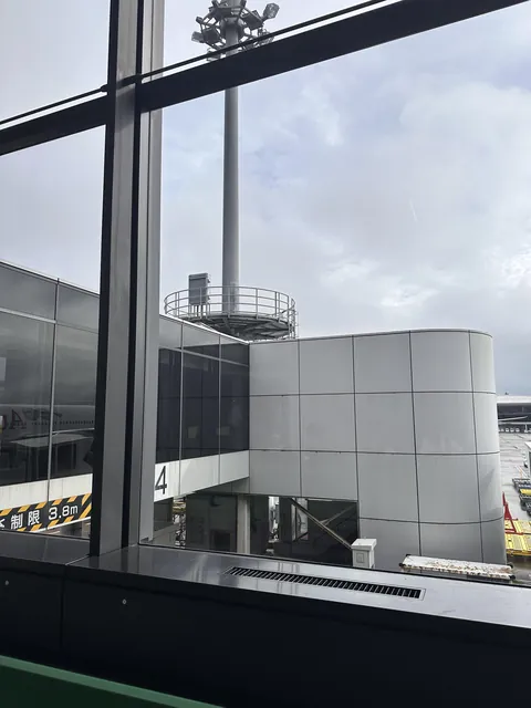 My dad just died. I don’t know what I should do.