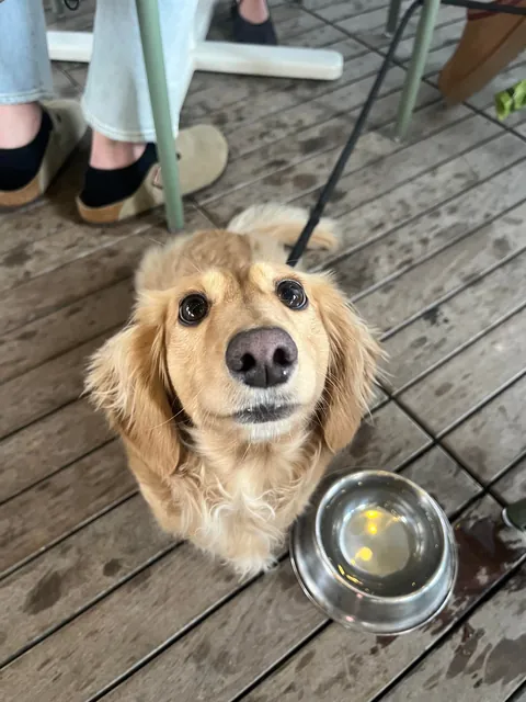 LOOK AT LUCA!! What an angel