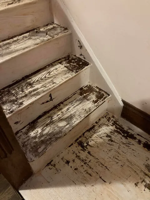 Yall I’m tired of stripping paint. How do I continue?