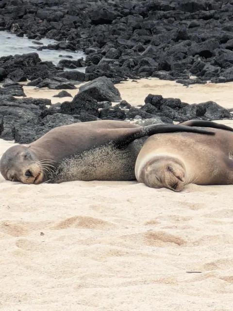 One Year in Latin America, Mexico to Patagonia