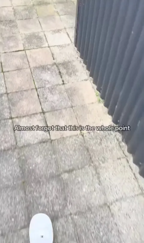 She forgot which gate to greet her at 🥺