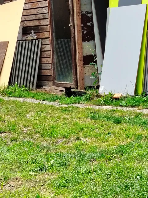 Stepdaughter bought a house, they got a free void with it. 