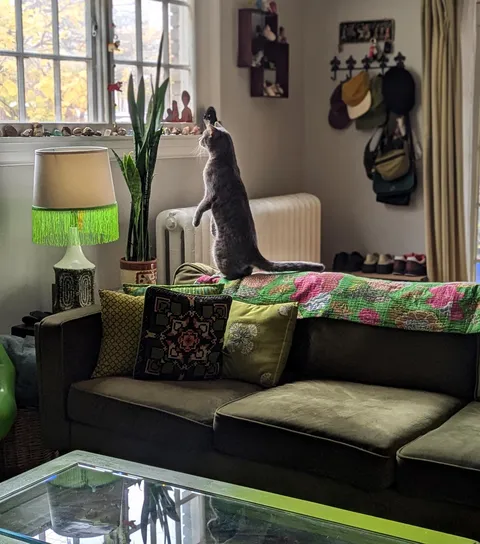 I never seen him standing, I was happy to capture the moment! 