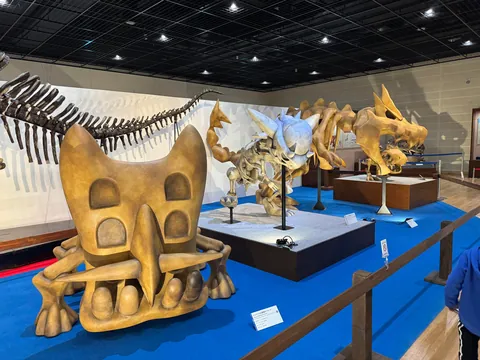 Took my son to the Pokemon Fossil Exhibit. Here are some pictures.