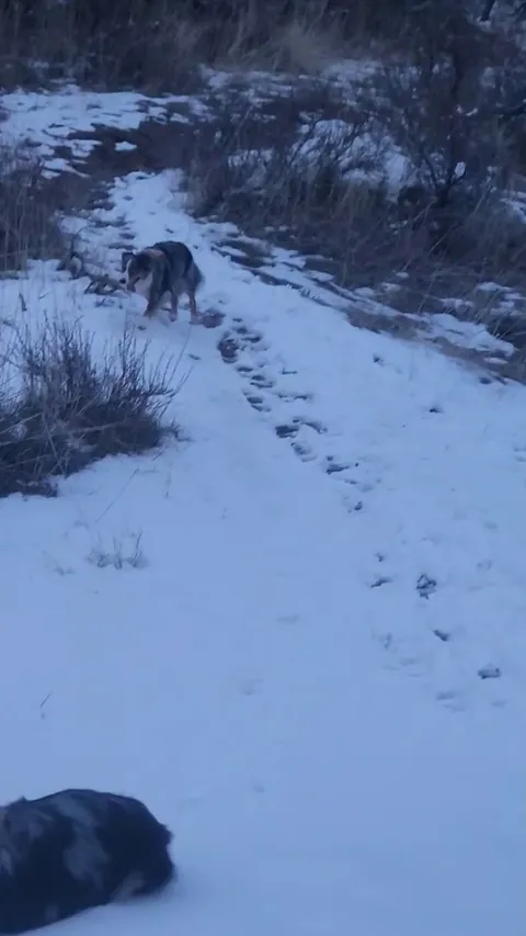 Rollin together ❤️