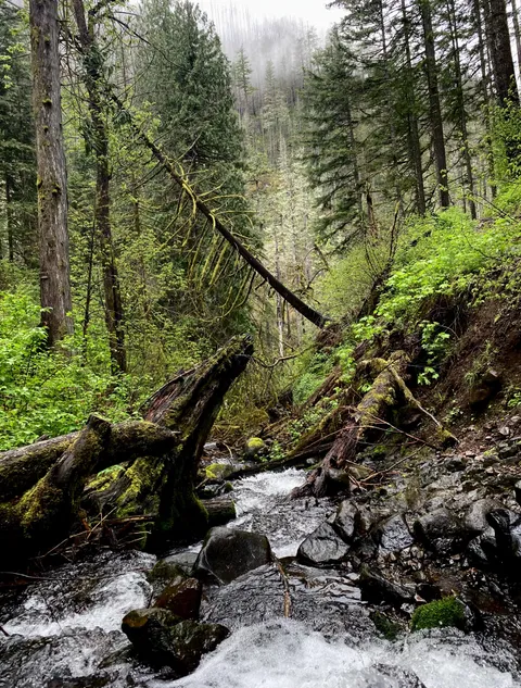 🔥Eagle Creek, Oregon