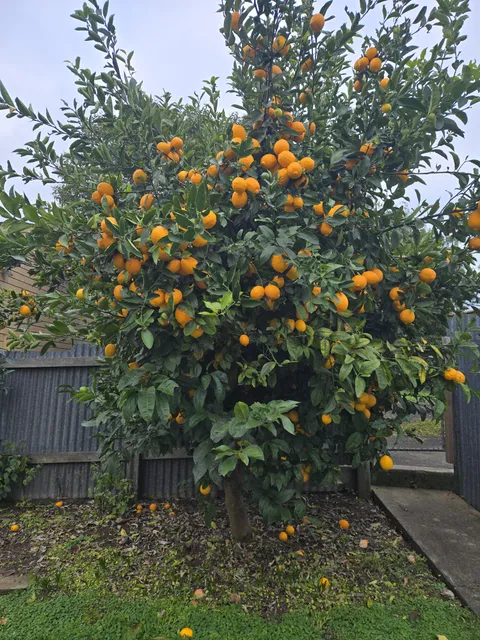 What do I even do with this