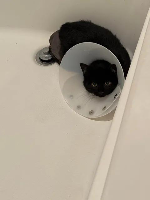 It Feels Like You Blink—Then Suddenly They’re Full-Sized!