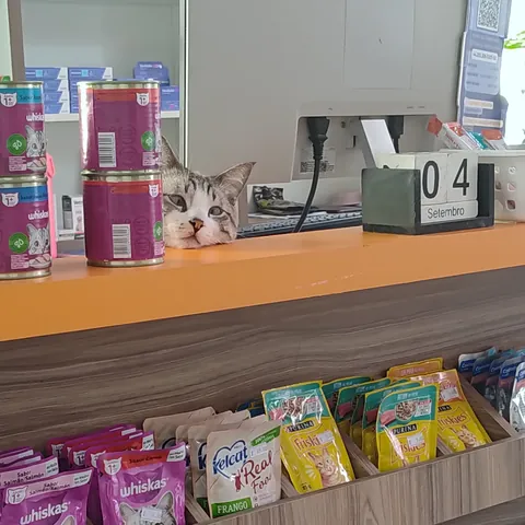 he owns this pet shop