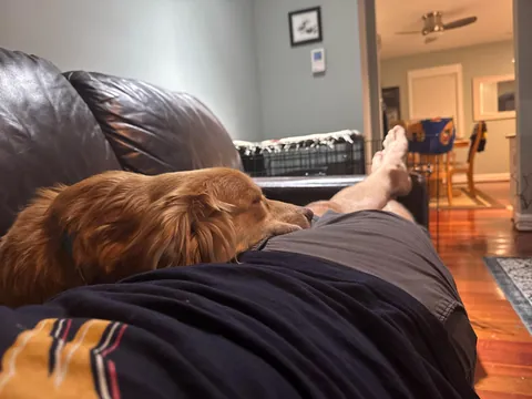 Dogs sleeping on you is the best