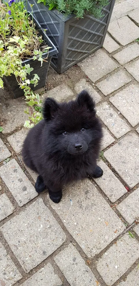 Five whole years of Maximum Mayhem