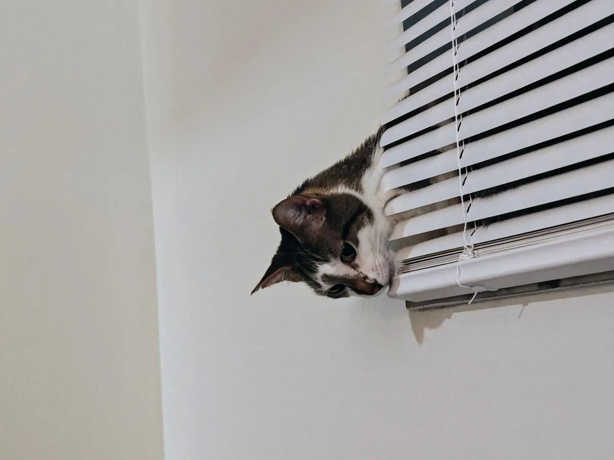 He woke up like any other day, then i took him to die and now I am ruined.