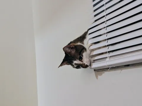 He woke up like any other day, then i took him to die and now I am ruined.