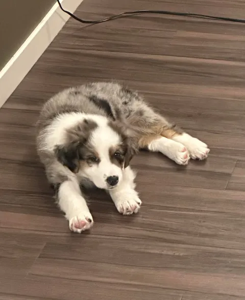 3 months later and already not so little anymore