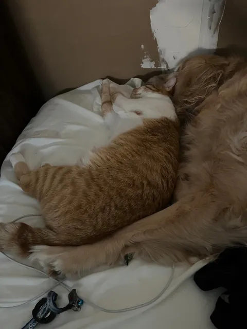 JimJim loves his Clover dog