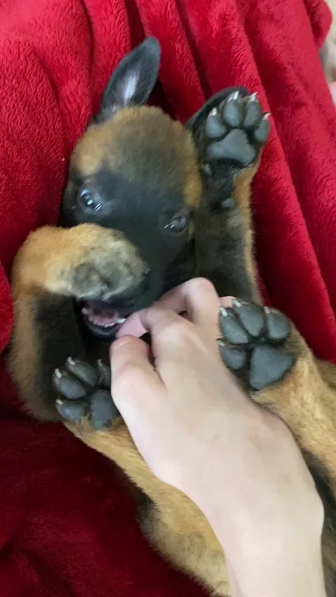 Back when my boy was still figuring out the controls for the limbs