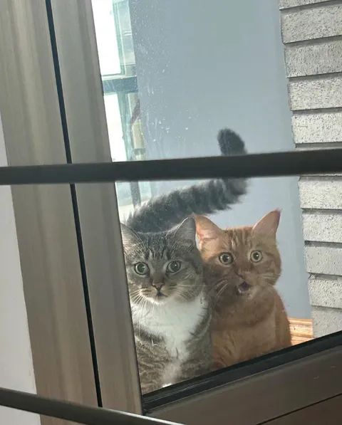 They’ve seen things…