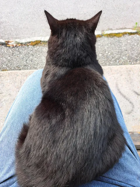 I met this man 15 minutes ago and now he won't let me leave