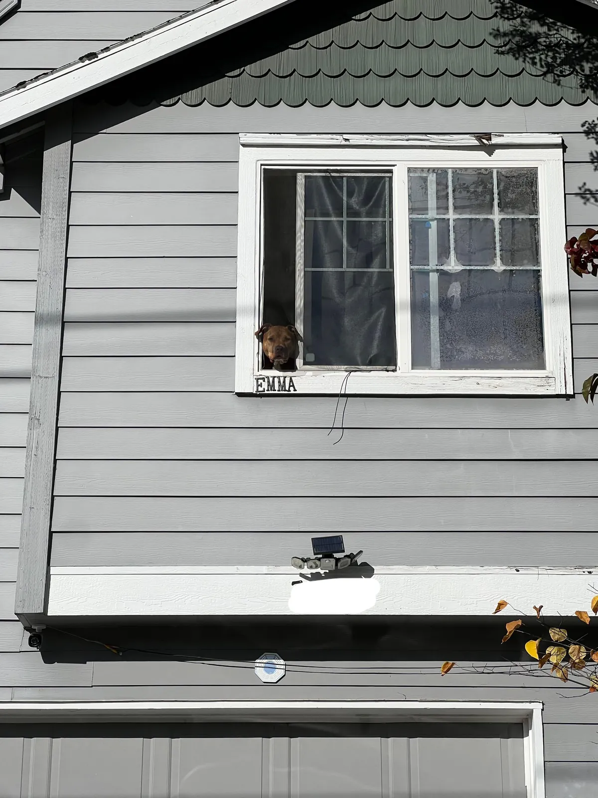 [oc] I always hear people say “hi doggy” from my bedroom, but they don’t know her name. I wanted to change that. Now I hear people say “hi Emma”