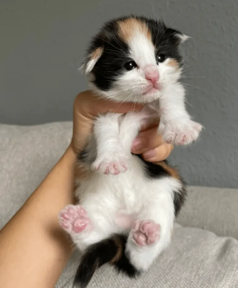 Lucy growing up , Then vs Now