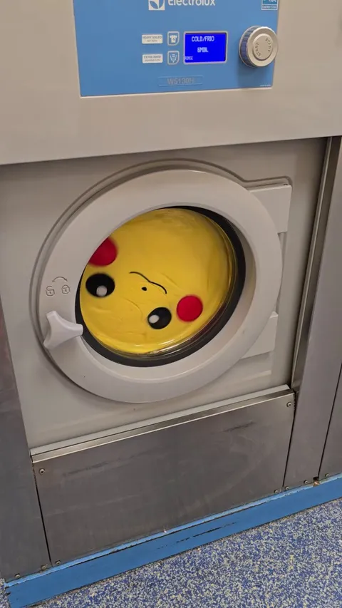 Took my kids' plushies to the laundromat