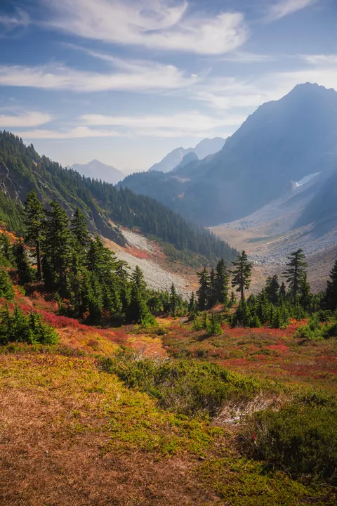 Fall foliage North Cascades [OC] [4000x6000]