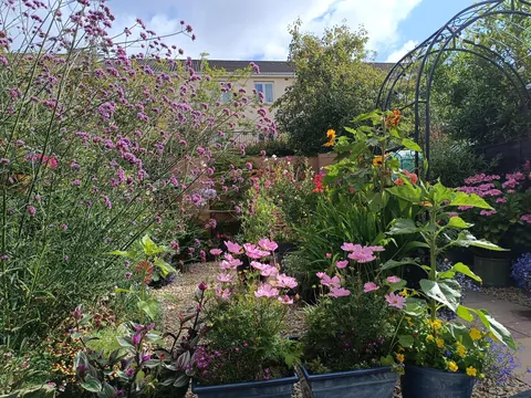 My little slice of heaven in Dublin, Ireland was looking very happy this morning.