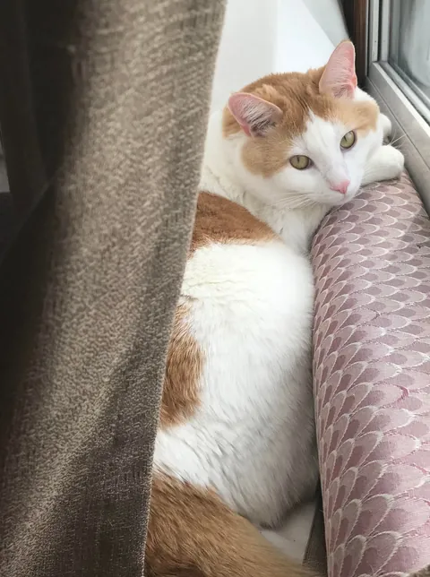 I lost my Baby, I’m heartbroken