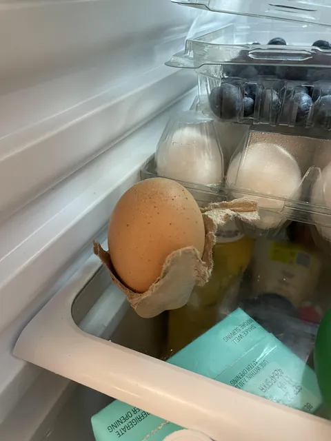 My girlfriend tears away her egg carton to save space