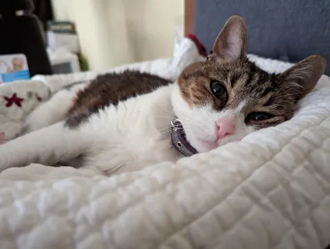 My Best Friend Sarah