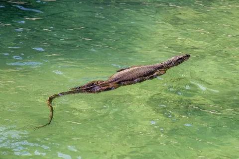 Two Weeks in Malaysia