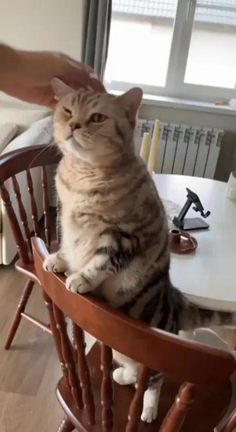 My precious long boi