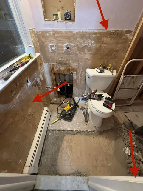 First Bathroom Remodel 