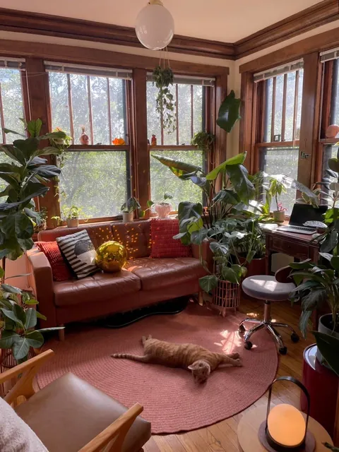 In love with our new Chicago sunroom! (OC)